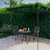 Vrtna pergola antikna smeđa 4 x 3 x 2,5 m željezna