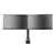 IIYAMA Stoni nosač za monitor DS1002C-B1