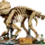 Lego Fosili dinosaurusa: Triceratops ( 77985 )