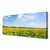 tulup.si Slika na platnu Dandelion travnik 120x60 cm