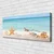 tulup.si Slika na platnu Starfish školjke beach 120x60 cm