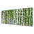 tulup.si Slika na akrilnem steklu Birch tree forest narava 125x50 cm 4 obešalnika