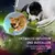 Dog Comets Stardust - Green - L