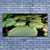 tulup.si Slika na platnu Listi lake nature 125x50 cm