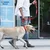 Dogness Ogrlica za pse, M, Crvena