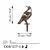 Aberto Design Dekorativna figura Bird -A 01, 50x27 cm, 1.5 mm