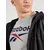 Reebok Funkcionalna majica marine/siva/temno rdeča