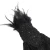 Rokavice DEVIL FASHION - Black Gothic - EGE00201