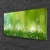 tulup.si Slika na steklu Grass nature rastlin 100x50 cm 2 obešalnika