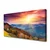 tulup.si Slika na platnu The sun mountain forest landscape 100x50 cm