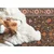 Decormat Vinil preproga Arabski slog 140x210 cm