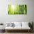 tulup.si Steklena slika Bamboo rastlin 100x50 cm 4 obešalnika