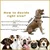 Paws & Whiskers Odelo za pse Mebranli Raincoat, Vodootporno, Zeleno