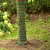 Waldbeck grelni kabel za rastline Greenwire (GT5-Greenwire-12m), 12m