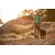 Ruffwear Front Range oprsnica, Coastal Mountains - XXS