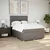 vidaXL Box spring postelja z vzmetnico taupe 140x190 cm blago