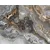 shumee Rezalna ploa steklene ploe 52x40 Marmor