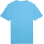 Puma Dres teamFINAL Graphic