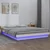 Vidaxl LED posteljni okvir bel 135x190 cm trden les