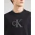 Calvin Klein Jeans Majica  siva / črna