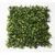 Lilijum Panel od vestackog zelenila za zeleni zid 50*50cm 569025