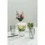 APS Linea kozarec, Prostornina: 0,30 litra, 100 mm, o: 85 mm, zelena (48 kos)
