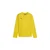 Mikica Puma teamGOAL Training Sweat Jr