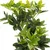 MID.YOU Umetna Rastlina Schefflera
