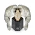 Philipp Plein PWNAA0722 The $kull Unisex 41mm 5ATM