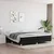 Shumee Box spring posteljni okvir črn 200x200 cm blago, (20684737)