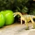 Safari Masiakasaurus dinozaver