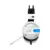 BARACUDA BGH 041 Conch Bele