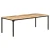 Vidaxl Jedilna miza 220x100x76 cm trden mangov les