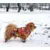 13th Dog Jakna za pse Doodle, 33cm