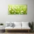 tulup.si Slika na platnu Daisy travnik narava 100x50 cm