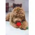 Beeztees Plišasta igrača za pse Red Rose 30cm