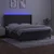 Krevet box spring s madracem LED tamnosivi 180x200 cm baršun