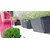 Prosperplast balkonska saksija ratolla case p 49x17x15cm antracit sa podmetačem PR ISR500P-S433