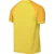 Nike Dres Dri-FIT Trophy VI