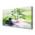 tulup.si Slika na platnu Bamboo orchid zen spa 125x50 cm