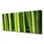 tulup.si Slika na platnu Narava bamboo rastlin 120x60 cm
