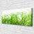 tulup.si Slika na platnu Grass nature rastlin 120x60 cm