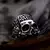 Prstan Steel Skull Punk - SS8-1196R