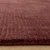 Bordo rdeča ročno tkana preproga 160x230 cm – Asiatic Carpets