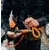 Pocket knife N°12, with tick extractor, Explore, Orange - Opinel