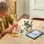 LEGO Creator 3u1 Razigrana mačka 31163