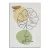 Conceptum Hypnose Tepih 160x230 ALHO CARPET-16A