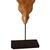 Skulptura lubanje bika tikovina 66x15x88 cm