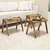 Hanah Home Set klub stolova, 3 komada Paris Orah