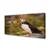 tulup.si Slika na platnu Parrot 100x50 cm